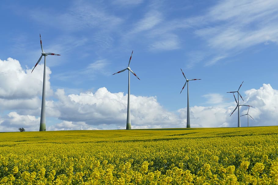 panoramic photography of green field with wind turbines, wind power, HD wallpaper