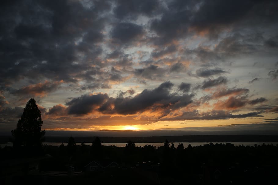 sunrise, lake, tree, sky, landscape, cloud - sky, sunset, silhouette HD wallpaper