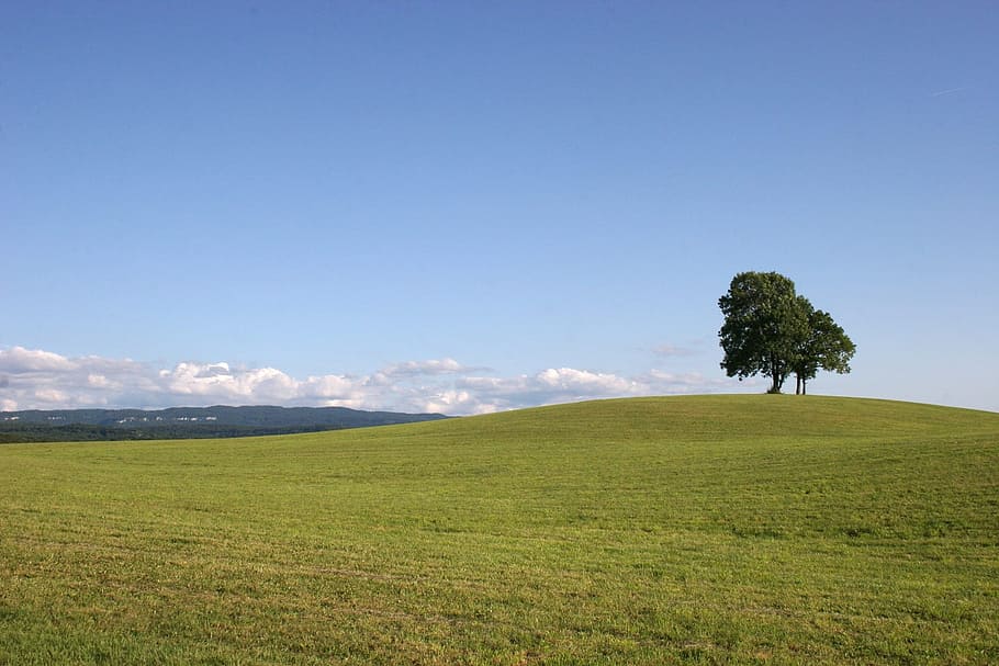 nature, landscape, sky, panoramic, jura, plant, tree, environment HD wallpaper