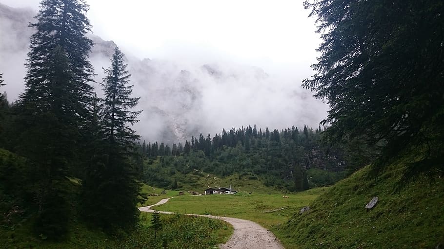 alpine, alm, away, fog, mountains, schachen, landscape, mountain hut, HD wallpaper