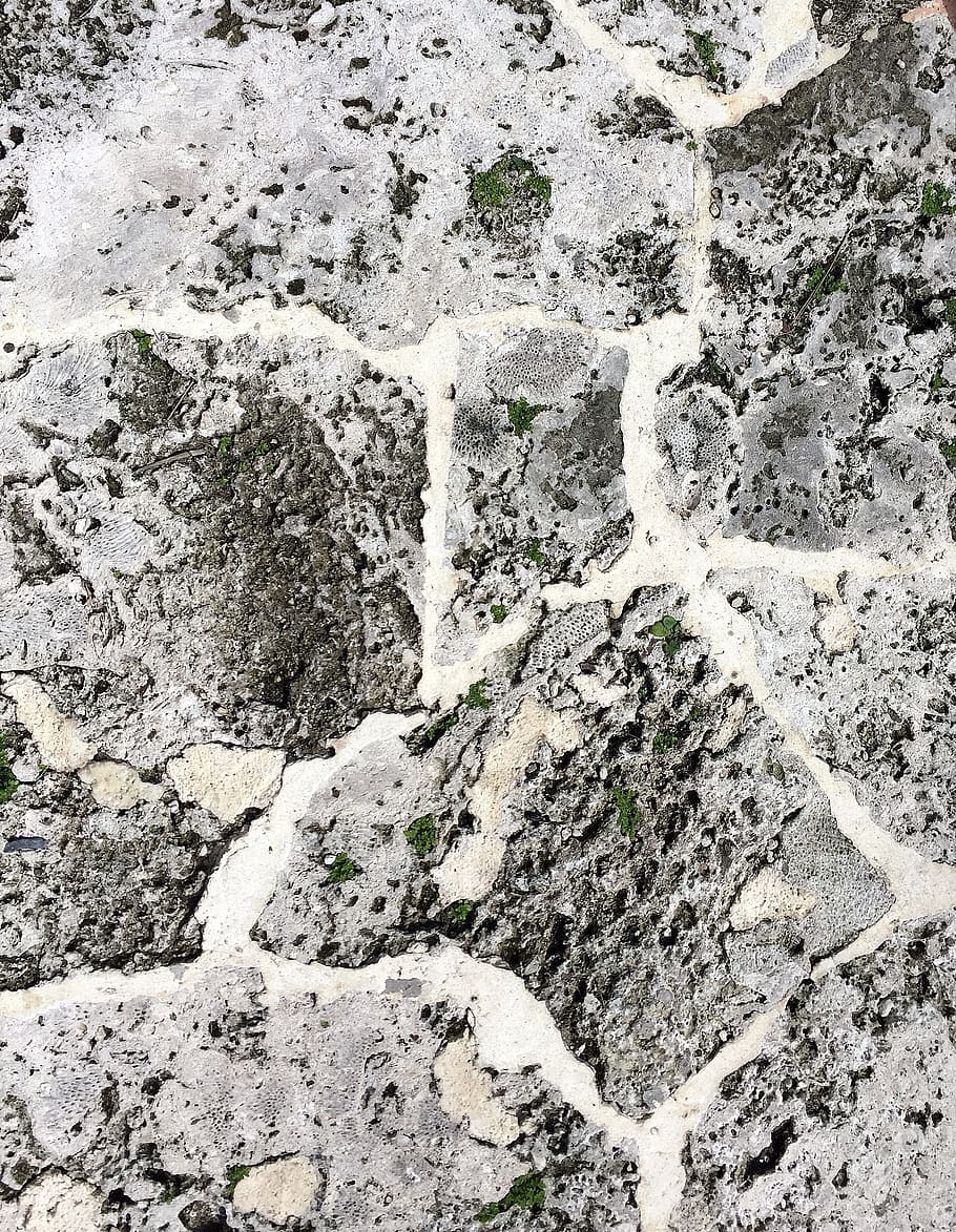 gray paver brick road, coquina, shell, limestone, rocks, natural