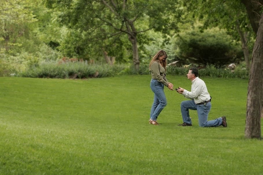 man kneeling in front of woman on green grass field, engagement HD wallpaper