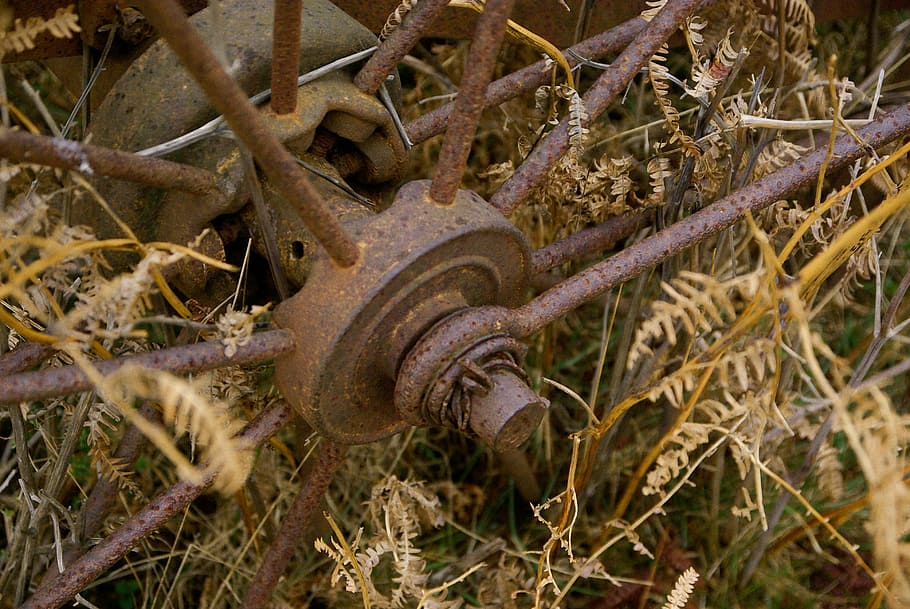 Wheel, Rust, ferrraille, one animal, animal wildlife, no people HD wallpaper