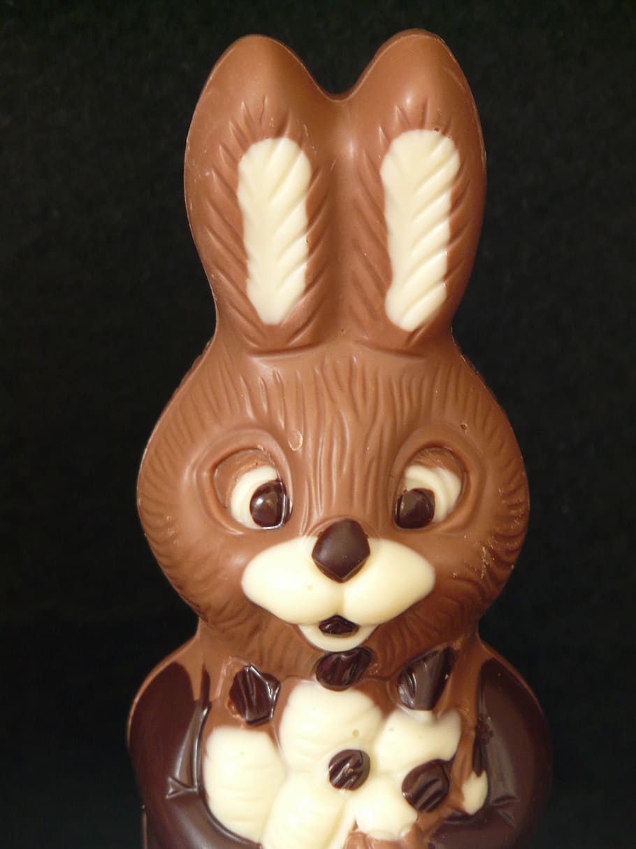 easter bunny, chocolate, brown, man, hare, figure, food, representation HD wallpaper