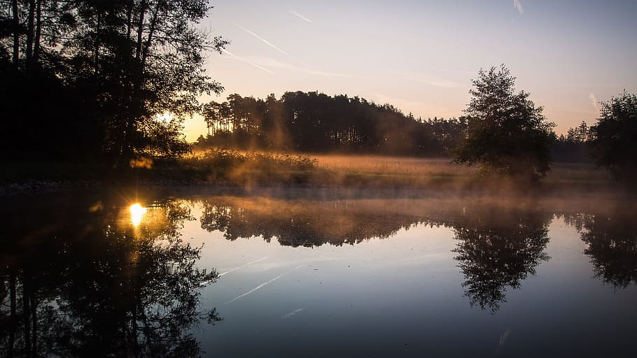body of water during golden hour, forest, meadow, idyll, landscape HD wallpaper