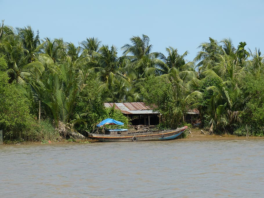 vietnam, mekong river, mekong delta, transport, ship, tropical, HD wallpaper