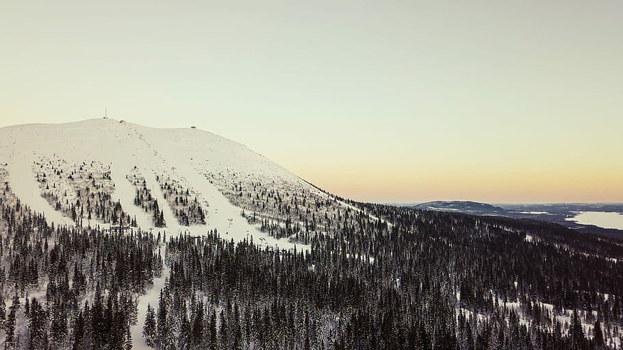 pine trees at the foot of snow covered mountain, mountain covering with snow HD wallpaper