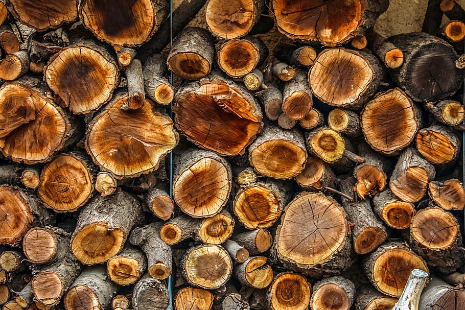 pile of gray logs, Wood, Brown, Hd, Wallpaper, wooden, old, floor, HD wallpaper