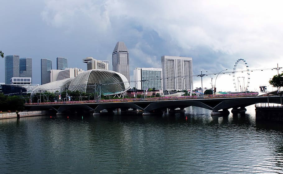 high rise buildings during day, urban Scene, river, architecture HD wallpaper