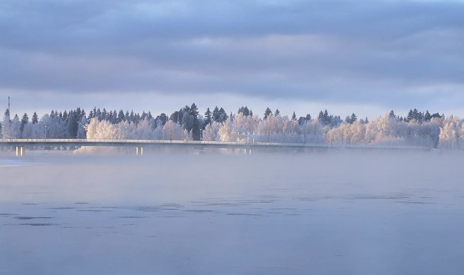 trees and body of water, bridge, river, forest, woods, winter HD wallpaper