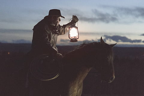 man in black jacket riding on brown horse, outdoors, animal, nature HD wallpaper