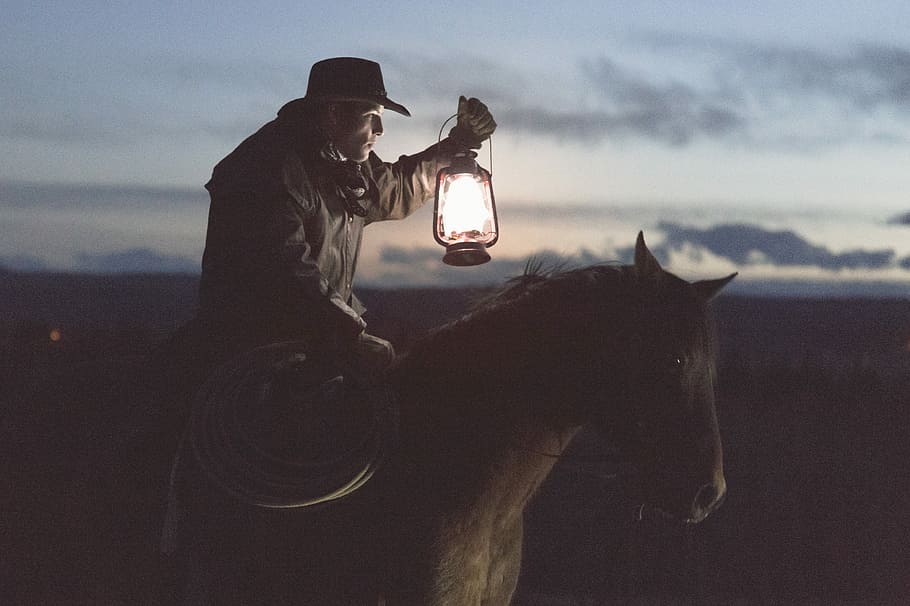 man in black jacket riding on brown horse, outdoors, animal, nature HD wallpaper