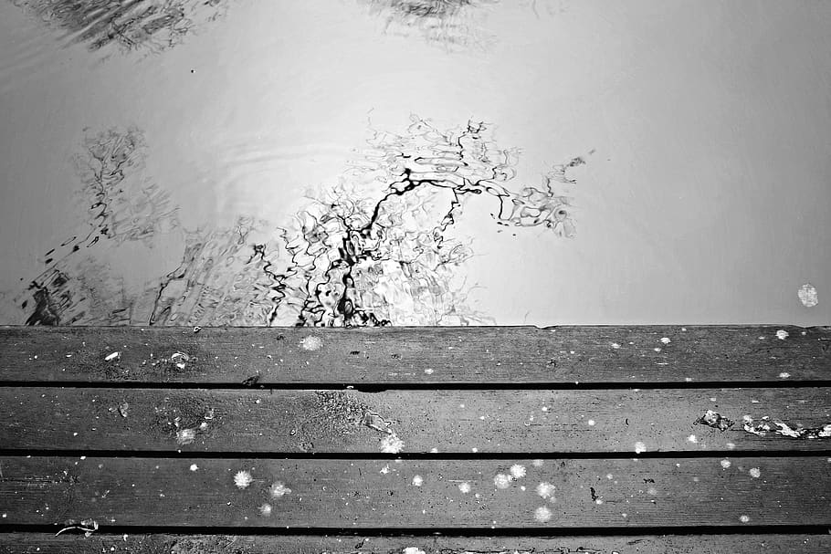 web, water, mirroring, branches, tree, lake, nature, bridge HD wallpaper
