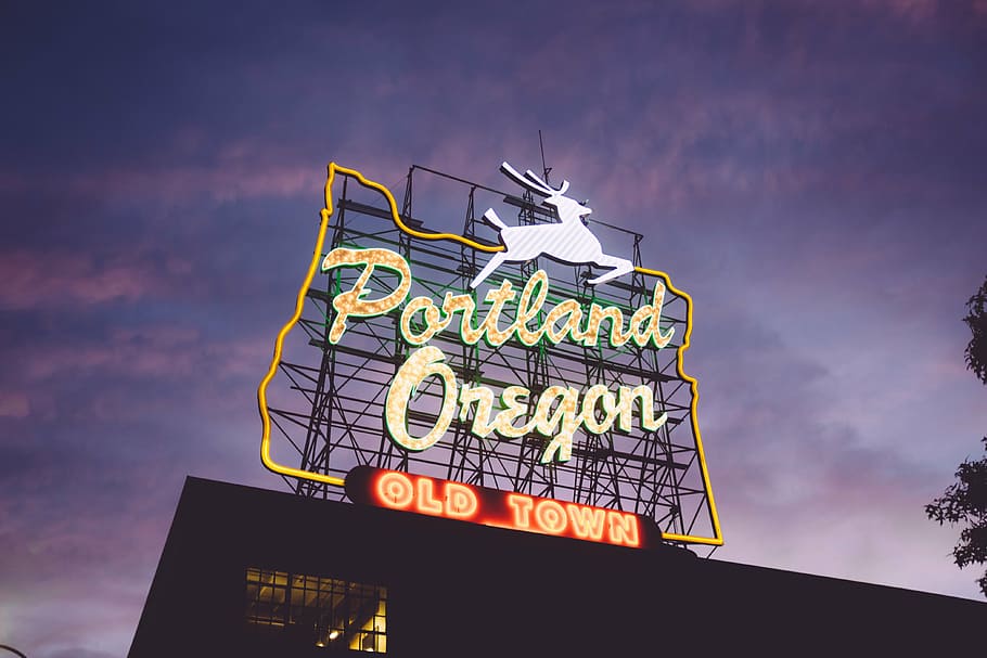 500 Portland Pictures  Download Free Images on Unsplash