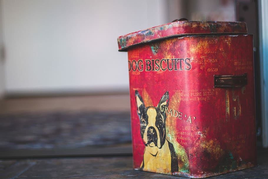 steel dog biscuits can, closeup photo of dog biscuit container HD wallpaper