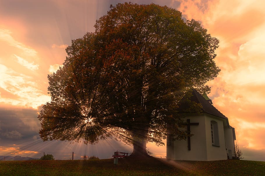 silhouette of tree during sunset, sunbeam, chapel, clouds, sky HD wallpaper