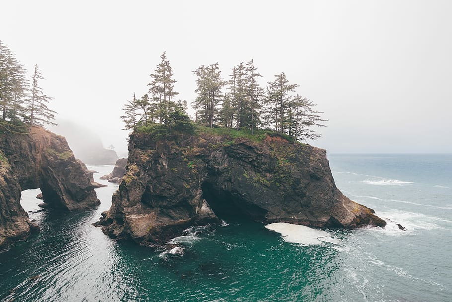 Natural Bridges, brown rock formation at the middle of sea, tree HD wallpaper