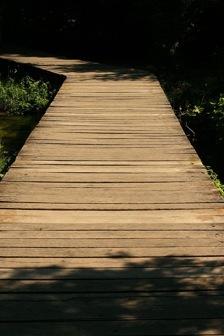 boardwalk, forest, nature trail, web, wood, brown, away, shadow HD wallpaper