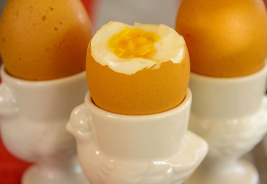 steamed eggs on white ceramic container, boiled eggs, egg cups HD wallpaper