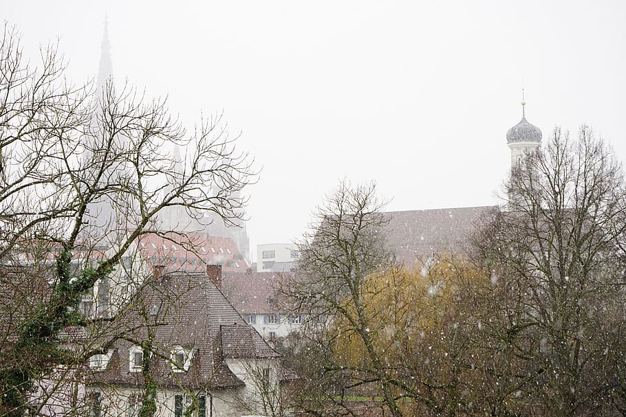 Snowfall, Ulm, Winter, Snowflakes, Cold, fog, slurry, ulm cathedral HD wallpaper