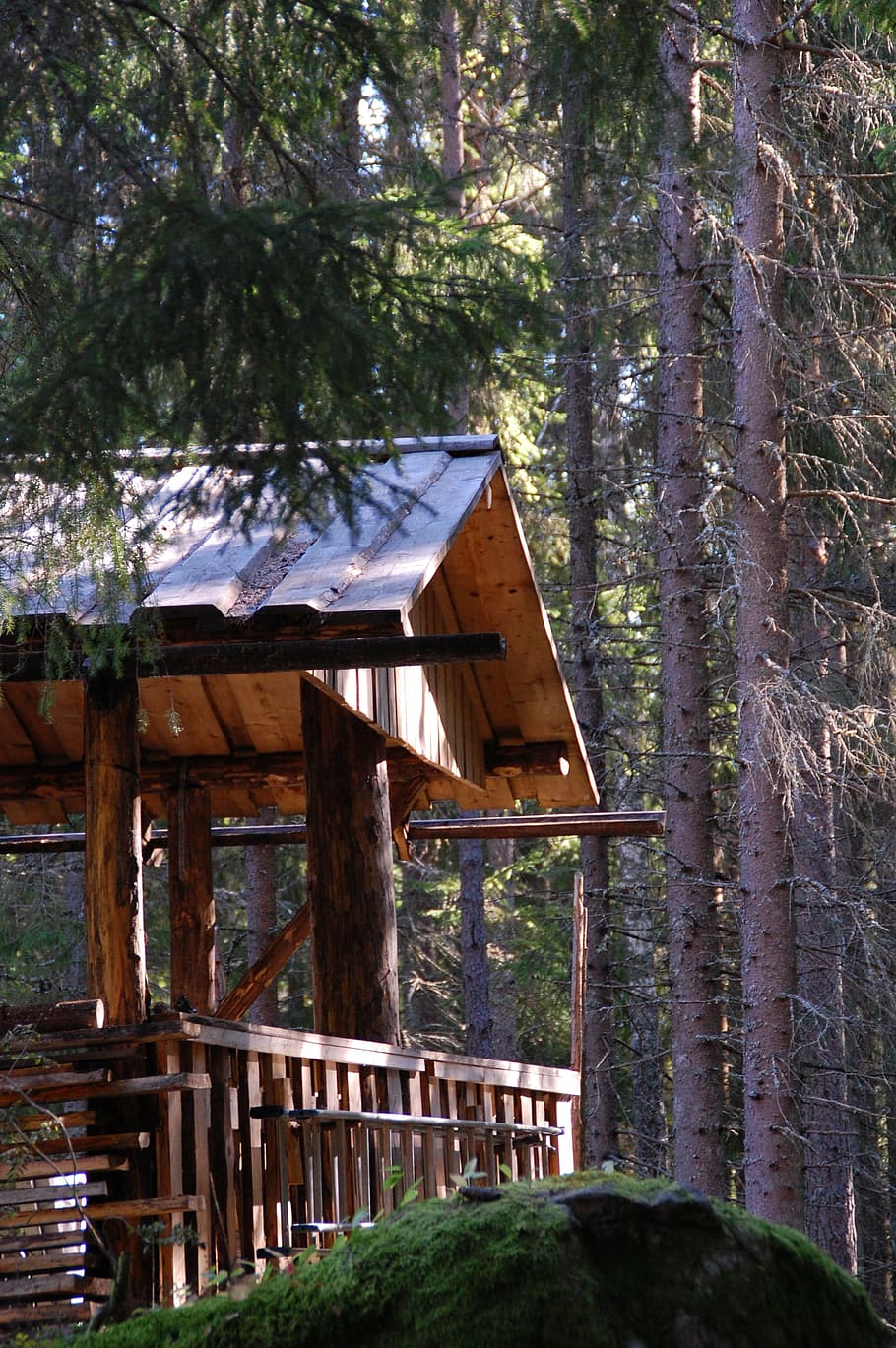 Forest, Trees, Sunlight, Shine, shine through, hut, shelter HD wallpaper