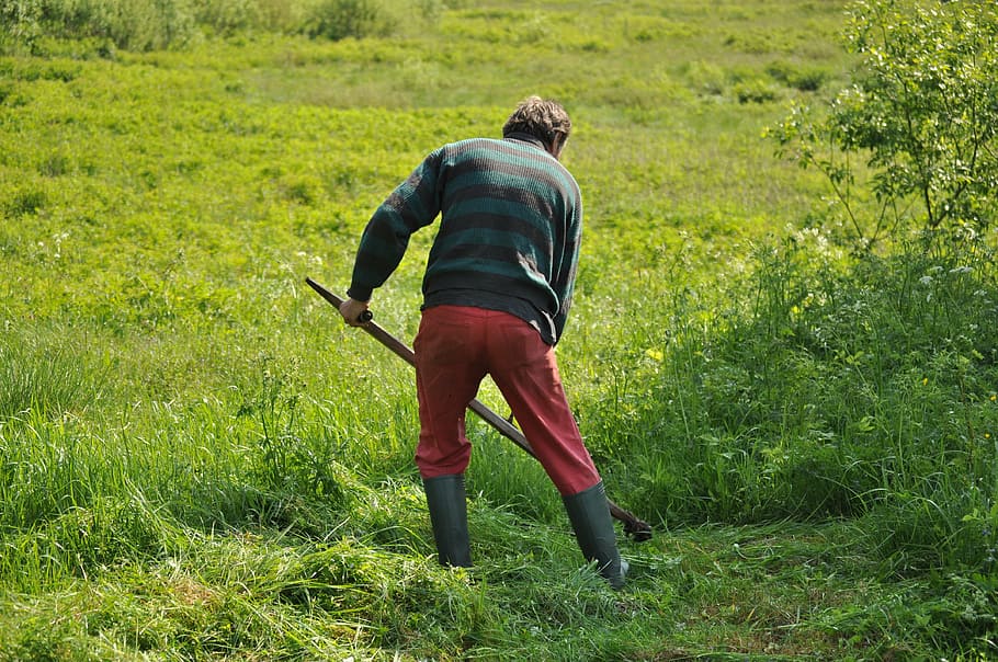 man cutting down grasses, mowing, field, green, mower, lawn HD wallpaper
