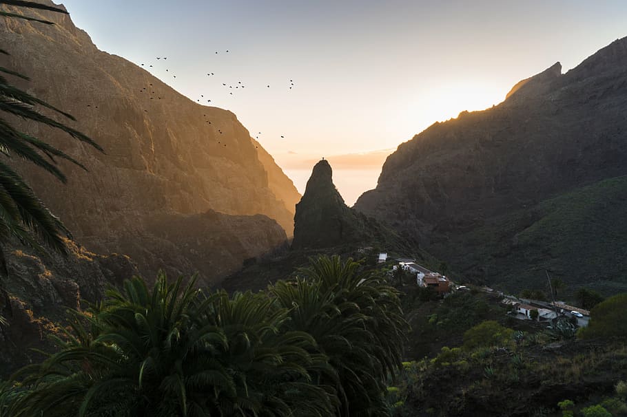 cliffs, mountains, nature, palm trees, palms, sunset, landscape HD wallpaper