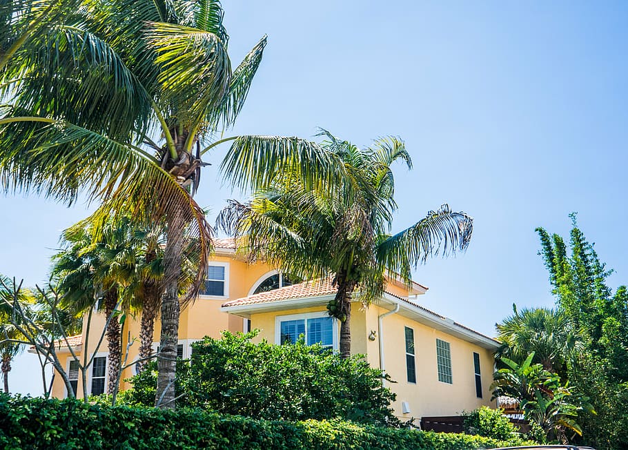 nokomis, florida, pops, casey, key, palm trees, house, vacation HD wallpaper