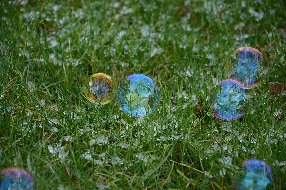 grass, tree, reflections, soap bubbles, fragility, focus on foreground HD wallpaper