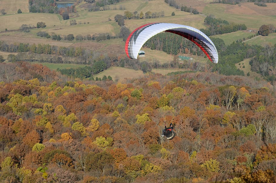 paragliding, adventure bums, hang gliding, sport, leisure, activity, HD wallpaper