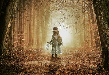 angel holding lantern painting, tree, light, dark, nature, wood HD wallpaper