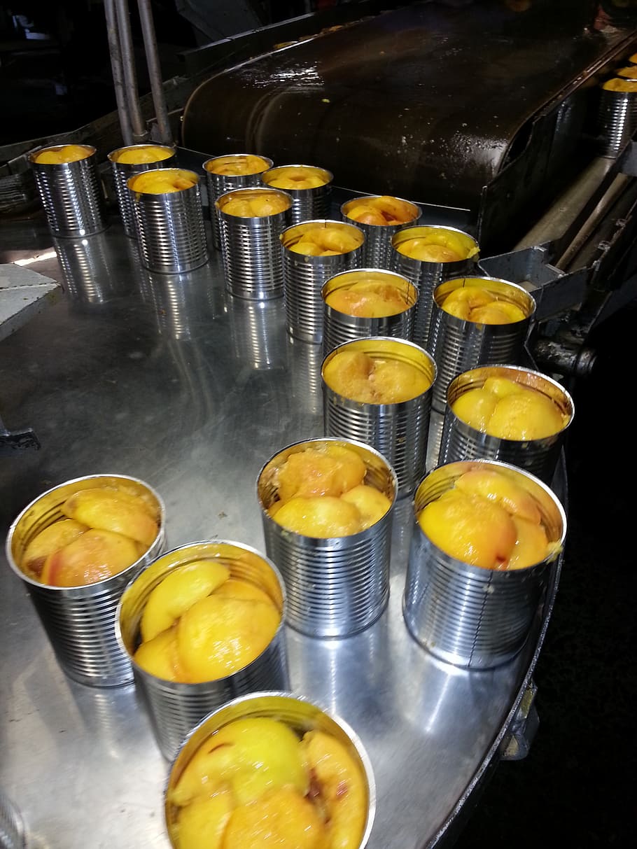 gray stainless steel can lot, peaches, stone, fruit, tree-ripened HD wallpaper