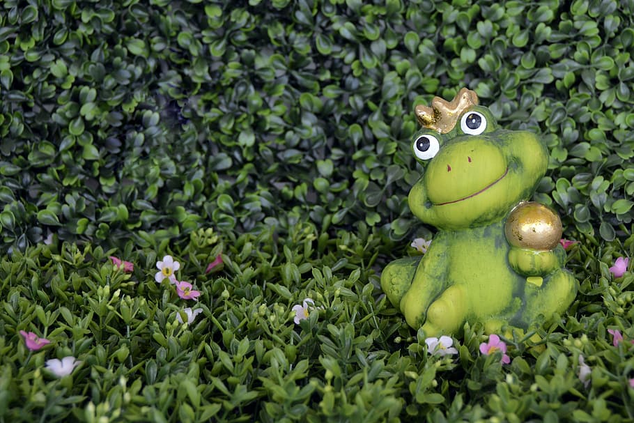 green frog figurine on green leaf plant, crown, frog prince, florencia, HD wallpaper