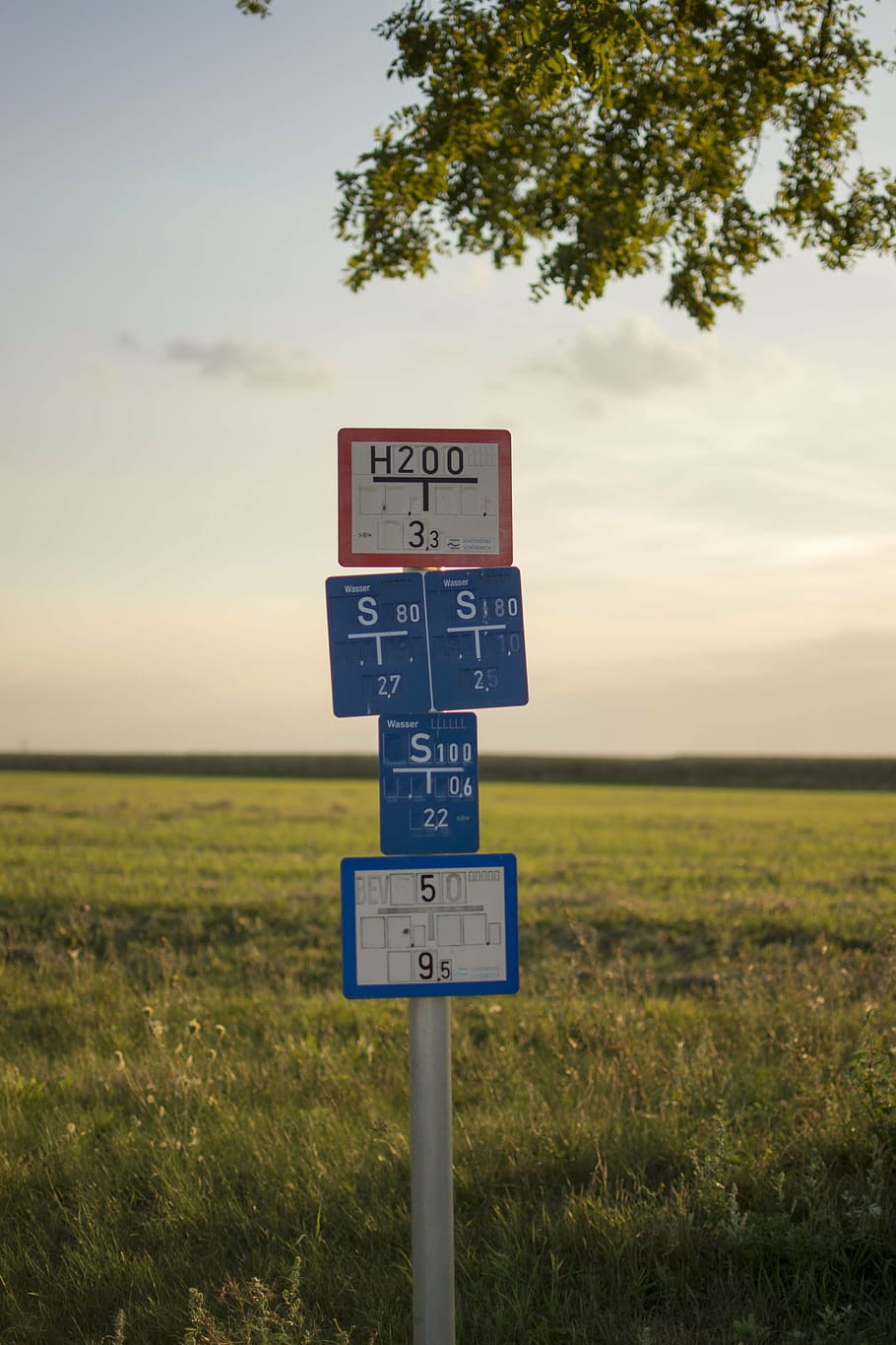 shield, mark, meadow, sky, plant, sign, communication, text HD wallpaper