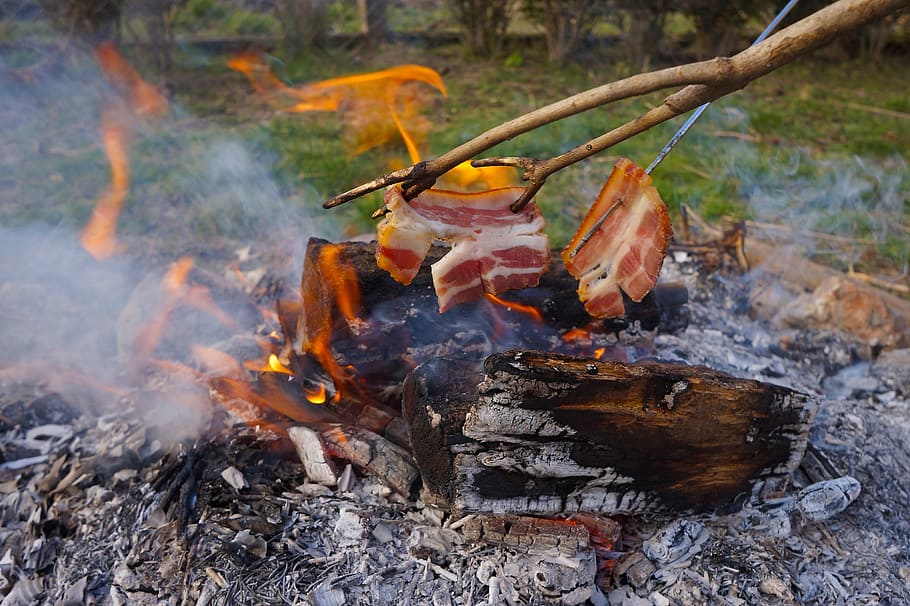 bacon, baking, spit, barbecue, nature, fire, fire - natural phenomenon, HD wallpaper