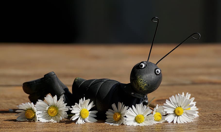 black insect scrap metal decor on table, figure, grasshopper HD wallpaper