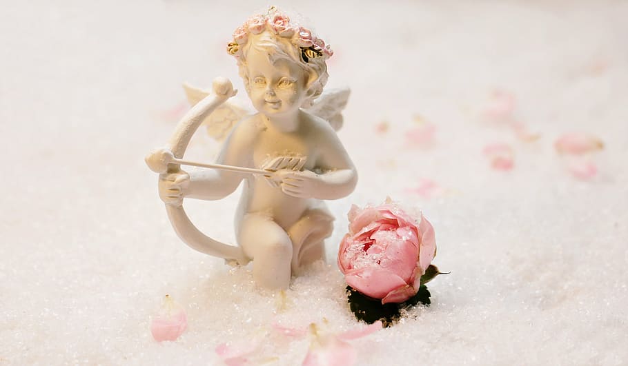 cupid beside rose bud, love angel, amor, figure, symbolism, feelings, HD wallpaper