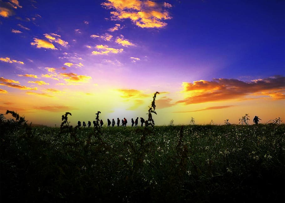 twilight, views, backlighting, horizon, people, silhouette HD wallpaper