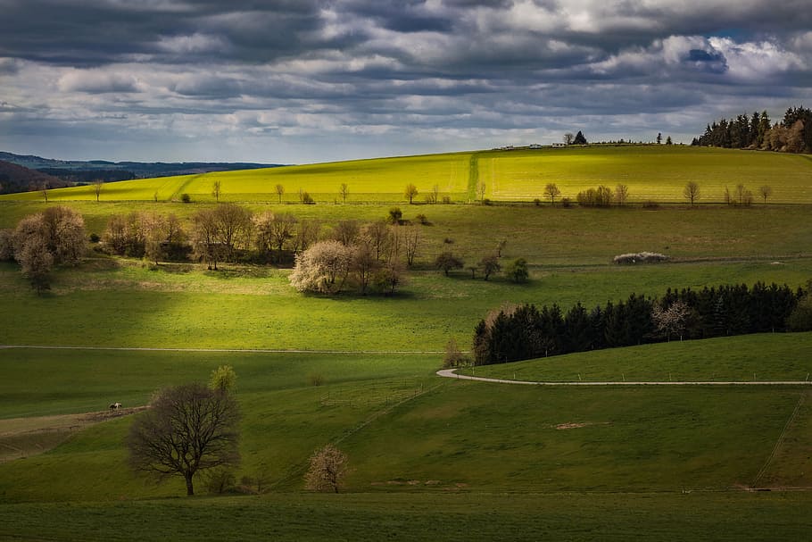 landscape, eifel, germany, dramatic clouds, field, meadow, nature HD wallpaper