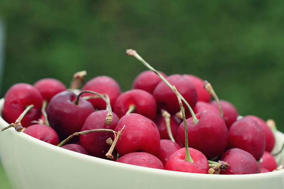 cherries, fruit, red, collection, food and drink, healthy eating HD wallpaper