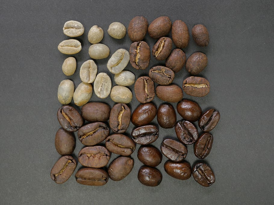 coffee beans, square, divisions, differences, ingredient, studio shot HD wallpaper