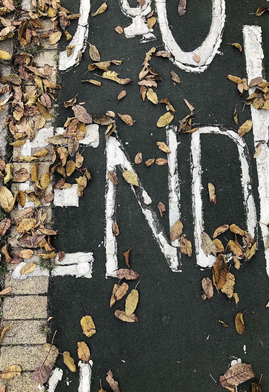 dry leaves on black concrete pavement, End text overlay, road, HD wallpaper