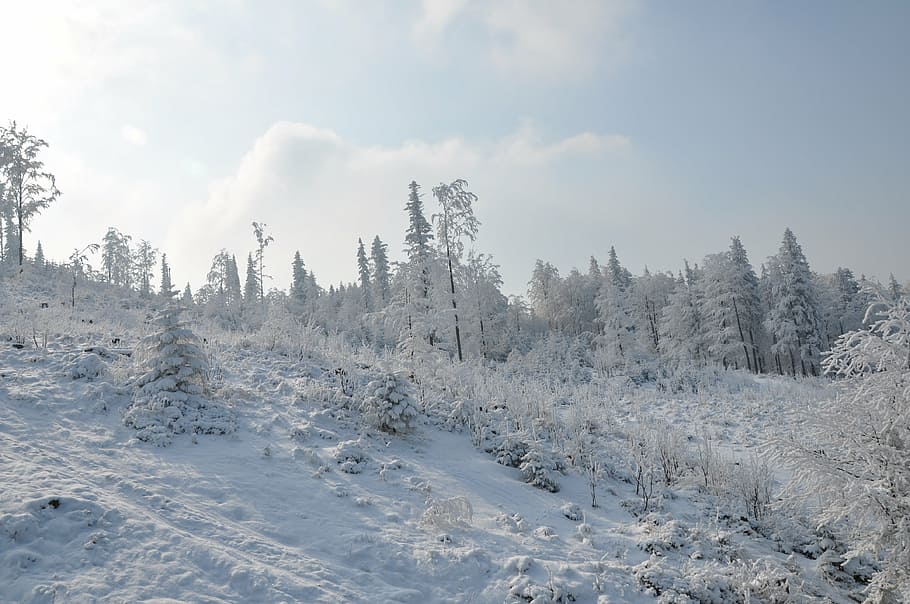 winter, mountains, snow, white, landscape, view, nature, poland HD wallpaper
