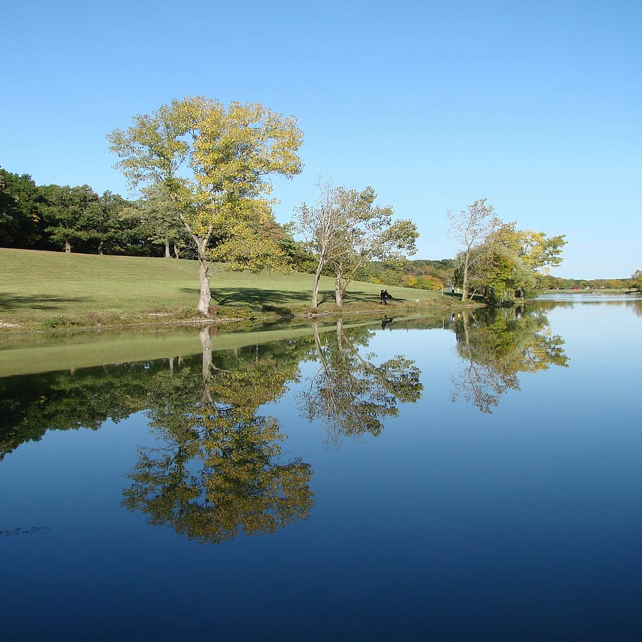 Trees, Reflection, Lake, Woods, Nature, water, tranquil scene HD wallpaper