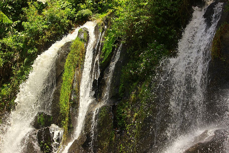 waterfall, forest, river, murky, motion, scenics - nature, plant HD wallpaper