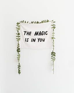 white the magic is in you-printed textile on wall, type, motivational HD wallpaper