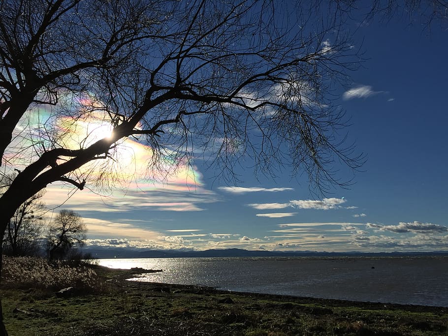 Lake, Constance, Bavaria, sea, nature, tree, scenics, no people HD wallpaper