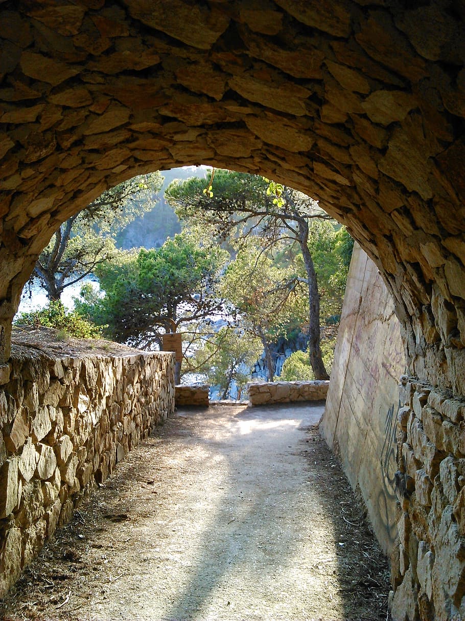 path, tunnel, trees, nature, pine, vegetation, trail, landscape HD wallpaper