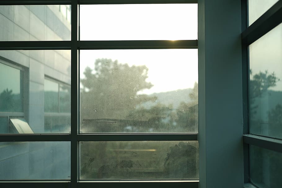 window, dust, sash, building, glass, glass - material, indoors HD wallpaper