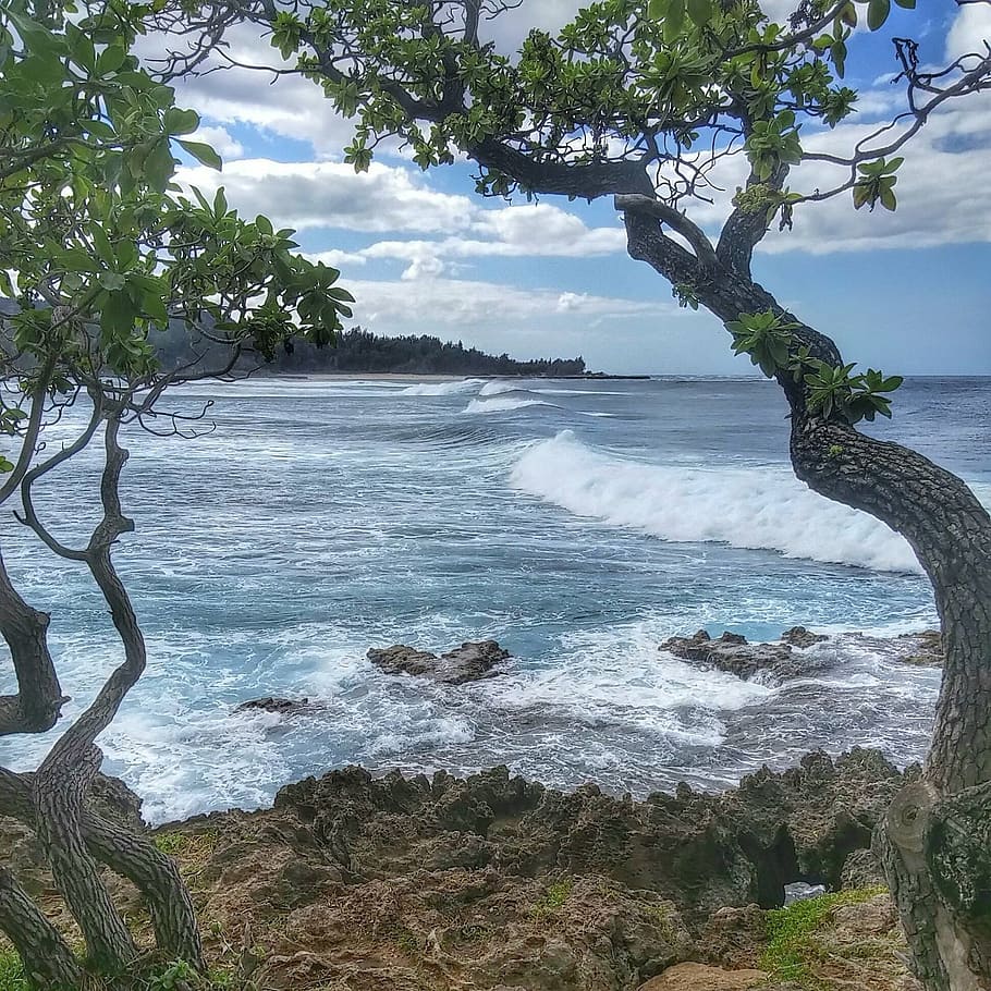 waves, wind, island, paradise, tropical, ocean, coast, outdoor HD wallpaper